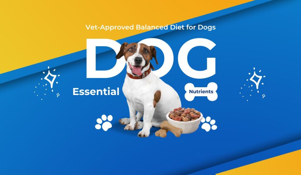 Balanced Diet for Dogs