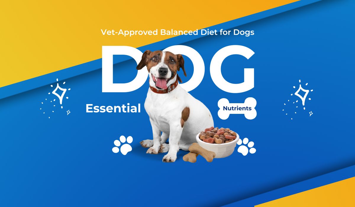 Balanced Diet for Dogs